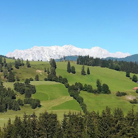 Apartment Hochkoenigblick Pilzegg Embach Dış mekan fotoğraf