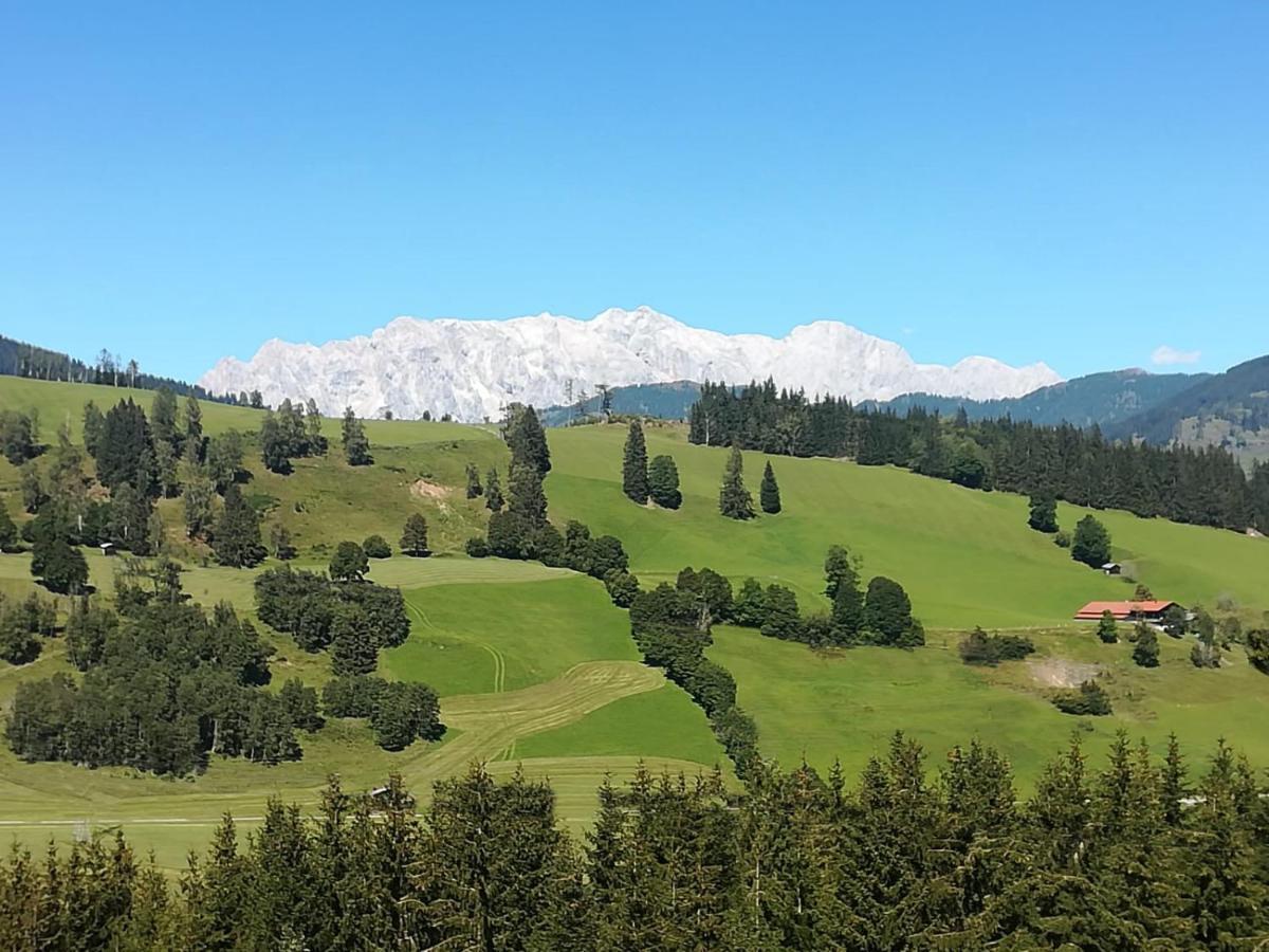 Apartment Hochkoenigblick Pilzegg Embach Dış mekan fotoğraf