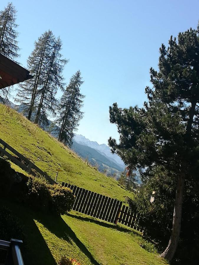 Apartment Hochkoenigblick Pilzegg Embach Dış mekan fotoğraf